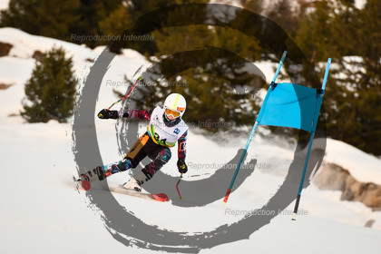 fleche Vaujany ESF Montfrais