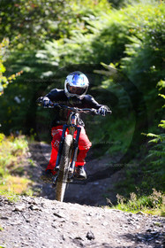 - VAL_8797 - 11H56.jpg