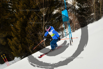 fleche Vaujany ESF Montfrais