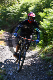 - VAL_8185 - 11H49.jpg