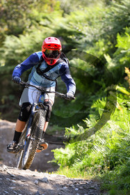 - VAL_4286 - 12H26.jpg