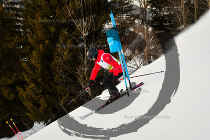 fleche Vaujany ESF Montfrais