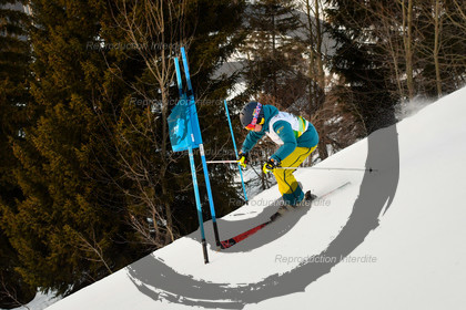 fleche Vaujany ESF Montfrais