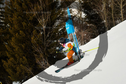 fleche Vaujany ESF Montfrais