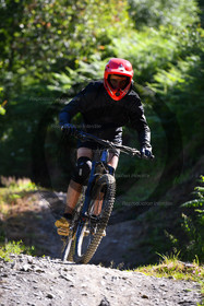 - VAL_6524 - 11H18.jpg