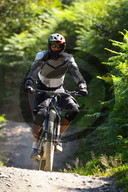 - VAL_0382 - 12H04.jpg