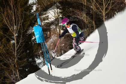 fleche Vaujany ESF Montfrais