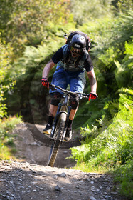 - VAL_4269 - 12H26.jpg