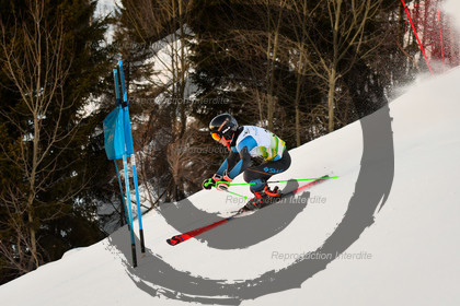 fleche Vaujany ESF Montfrais