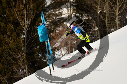 fleche Vaujany ESF Montfrais