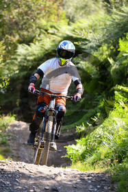 - VAL_4251 - 12H17.jpg