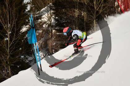 fleche Vaujany ESF Montfrais