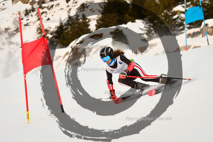 fleche Vaujany ESF Montfrais