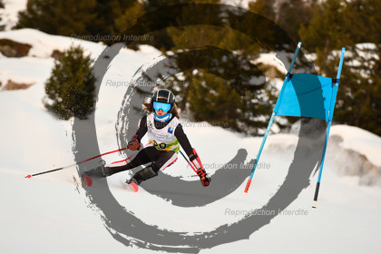 fleche Vaujany ESF Montfrais