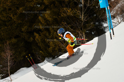 fleche Vaujany ESF Montfrais
