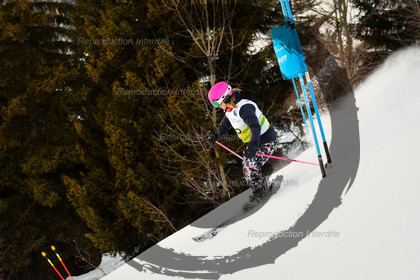 fleche Vaujany ESF Montfrais