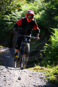 - VAL_6528 - 11H18.jpg