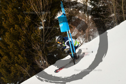 fleche Vaujany ESF Montfrais